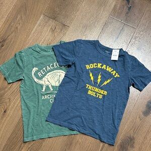 2 Crewcuts tshirt for boys.